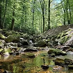 Au Petit Pierrot Spa