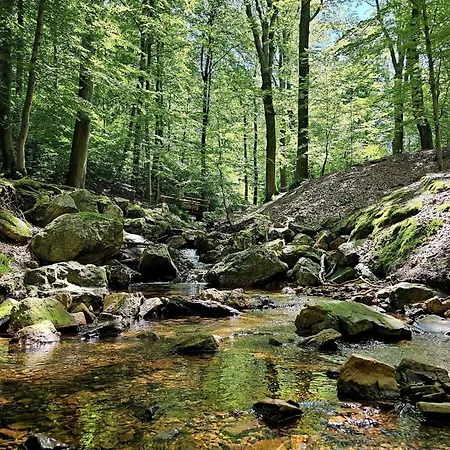 Au Petit Pierrot Spa